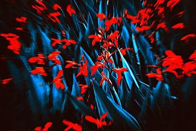 《潜行者2》新宣传片“只是开始” 勇敢探索危险区域